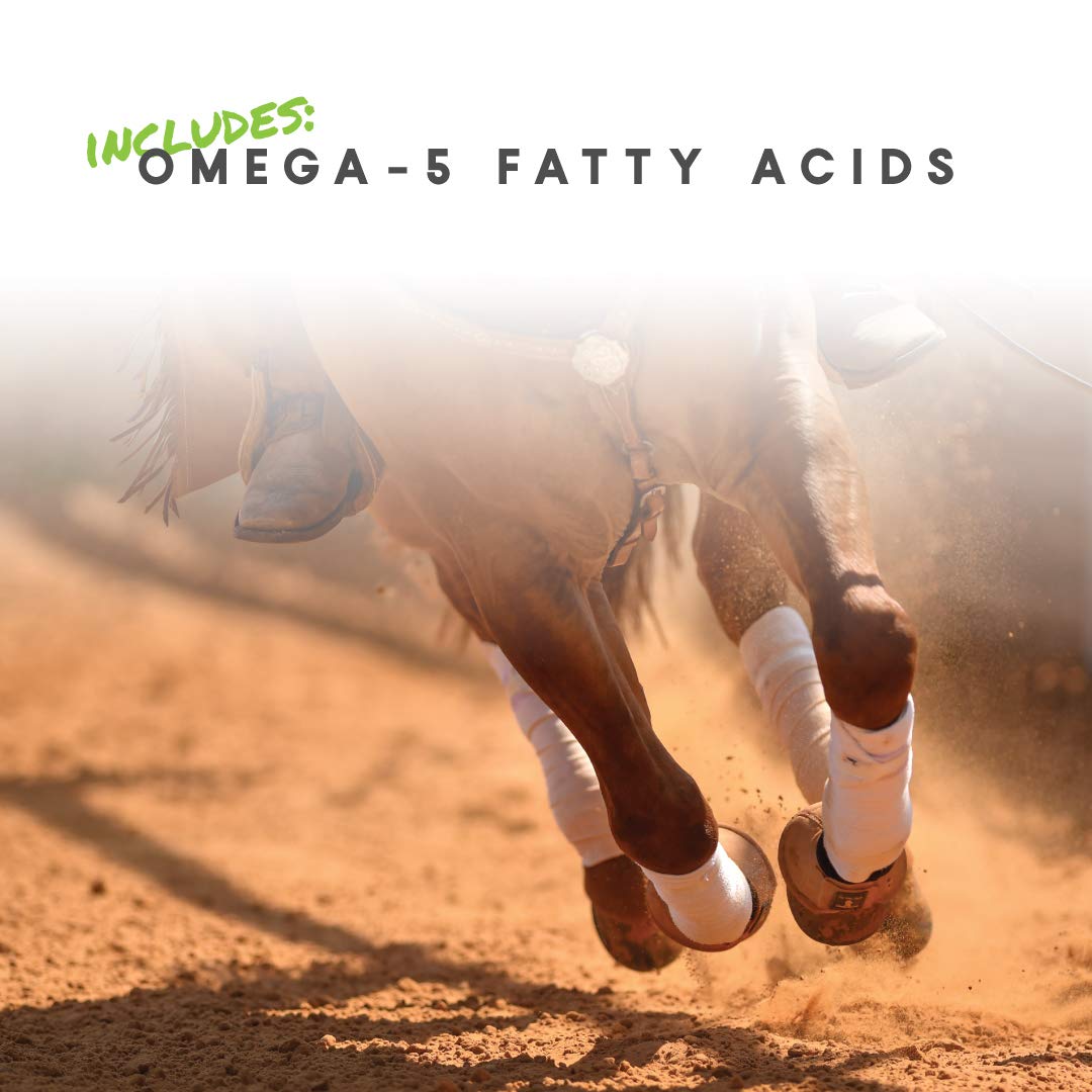 Manna Pro Cetyl-M Joint Supplement for Horses - Omega 5 Fatty Acids Formula - 11.2 LB Pellets for Joint Health & Mobility - Ideal for Senior Horses & Performance Equines