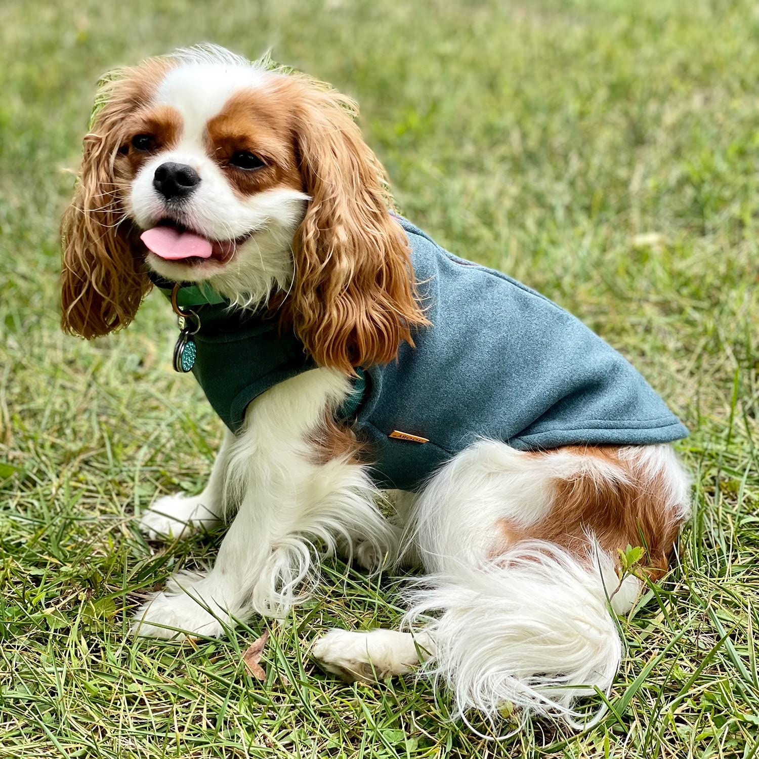 Gooby Zip Up Microfiber Fleece Dog Sweater - Warm Double Layered Winter Coat for Small & Medium Dogs, Turquoise, 2X-Large - Cozy Step-in Jacket for Cold Weather, Indoor & Outdoor Use