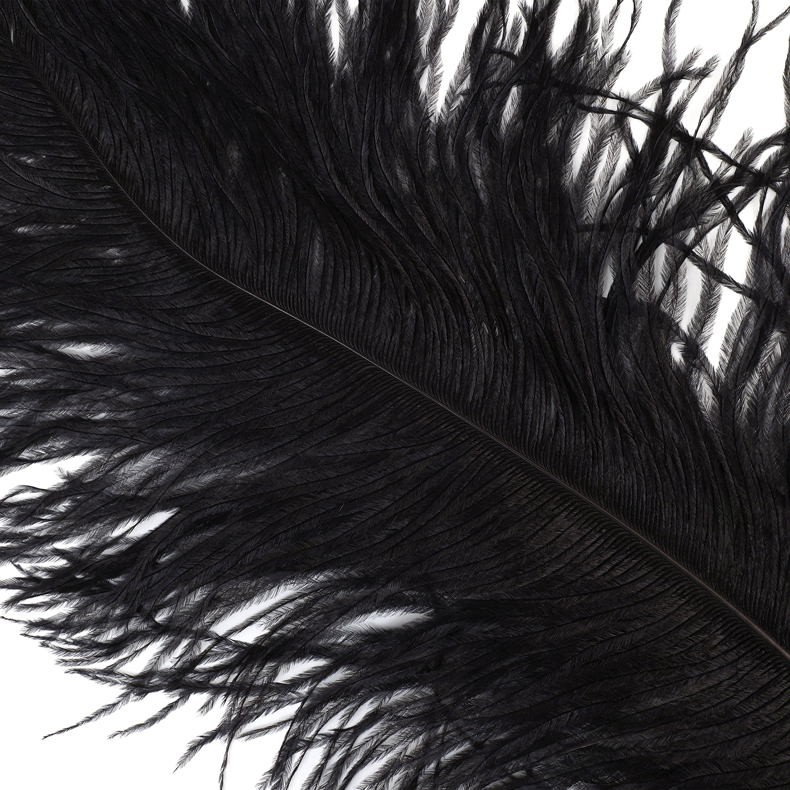 Premium ZUCKER Ostrich Feathers - 17-25 Inches Tall - 25pcs Pack - Black Event Decor for Weddings, Centerpieces, Home Decoration & DIY Crafts - Perfect for Table Settings, Vase Arrangements and Party Decorations