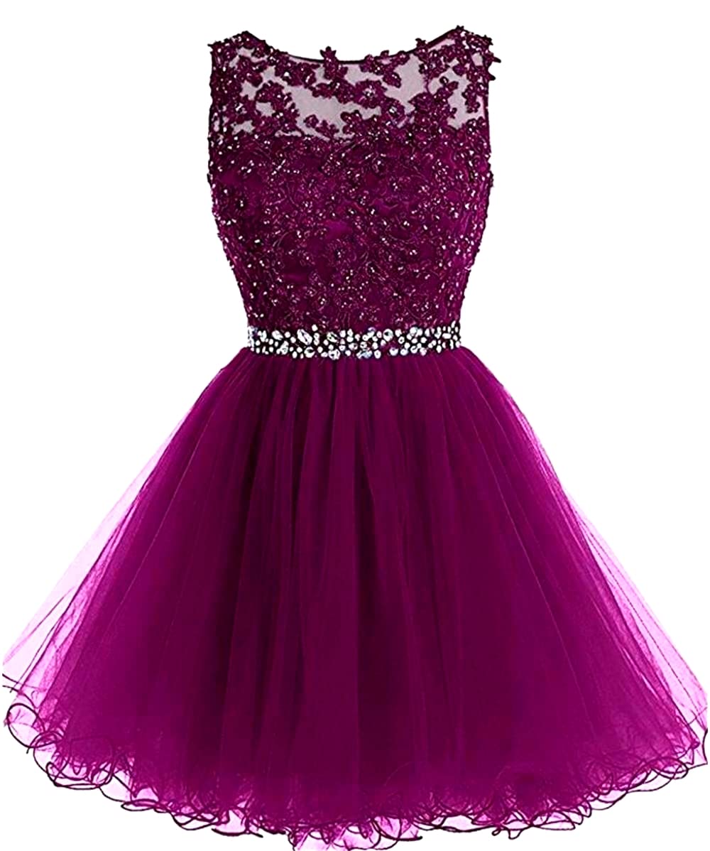 Elegant Applique Short Prom Dresses for Women & Teens | Tulle Homecoming Party Cocktail Gown D126 | Perfect for Dances, Weddings & Special Occasions