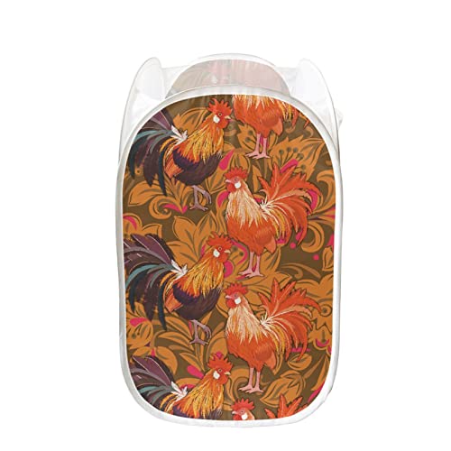 Rooster