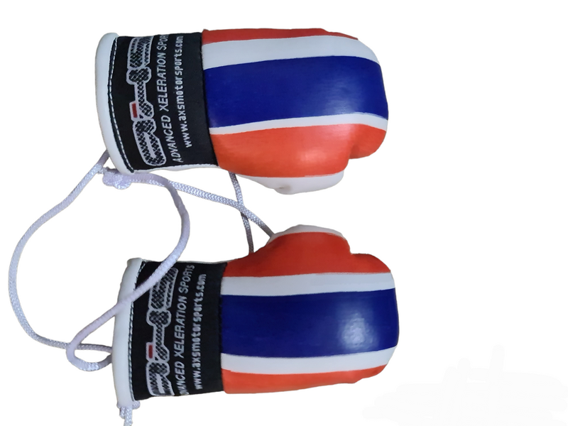 AXS Mini Boxing Gloves for Kids & Adults - Premium Leather Training Gloves - Perfect for Boxing, MMA, Muay Thai & Fitness Training - Ideal Gift for Fighters & Beginners (One Pair)