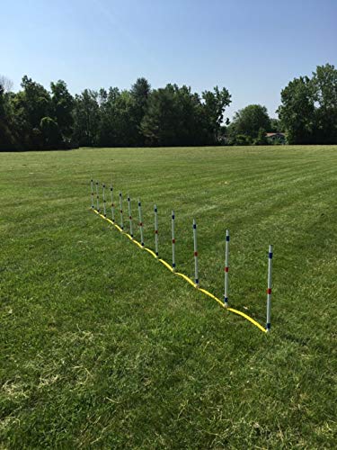 12-Piece Dog Agility Training Weave Pole Set - Professional Obstacle Course Equipment for Small & Large Dogs - Perfect for Backyard Training & Competition Practice