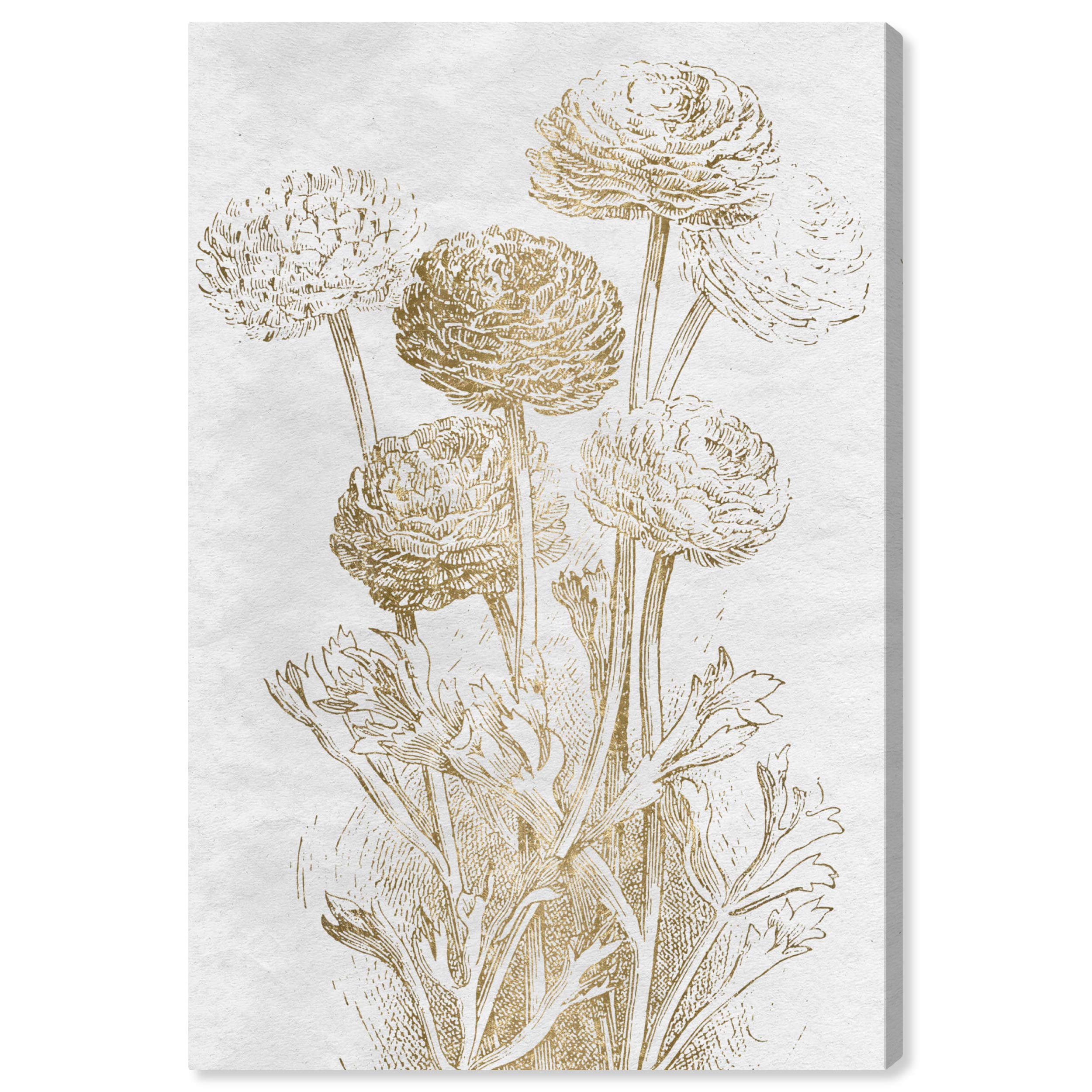 Oliver Gal Artist Co. Floral Wall Art Canvas Print - Dahlia Sketch Home Decor 16x24 Inches Gold & White - Perfect for Living Room, Bedroom & Office Decor
