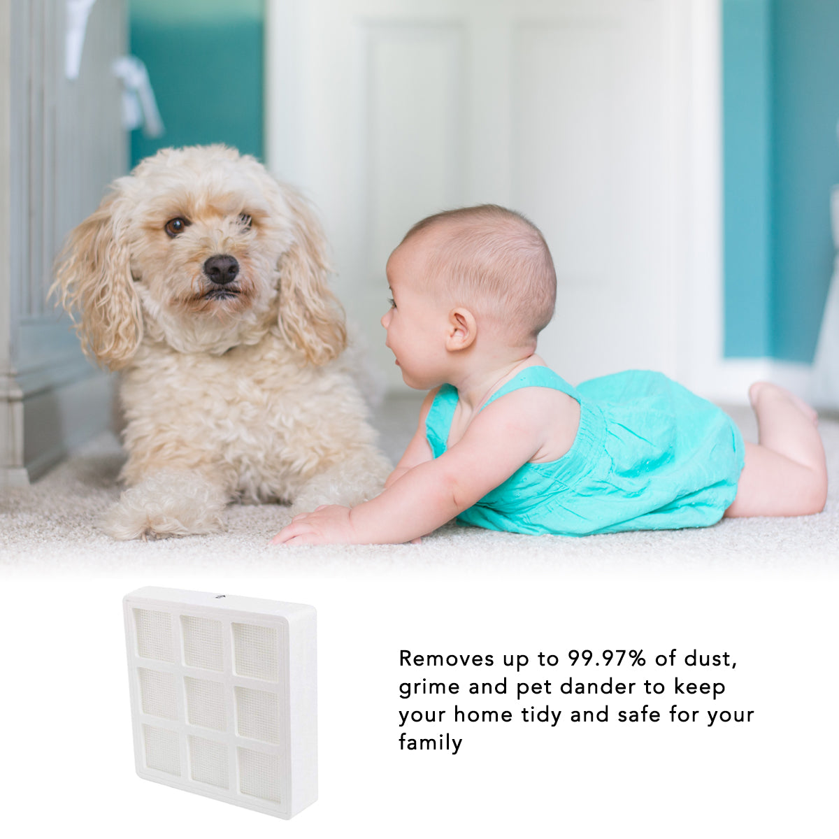 IQAir PreMax Replacement Filter F8 Models 102 10 10 00 - Compatible with IQAir HealthPro Plus Air Purifier | Home & Office Air Purification System