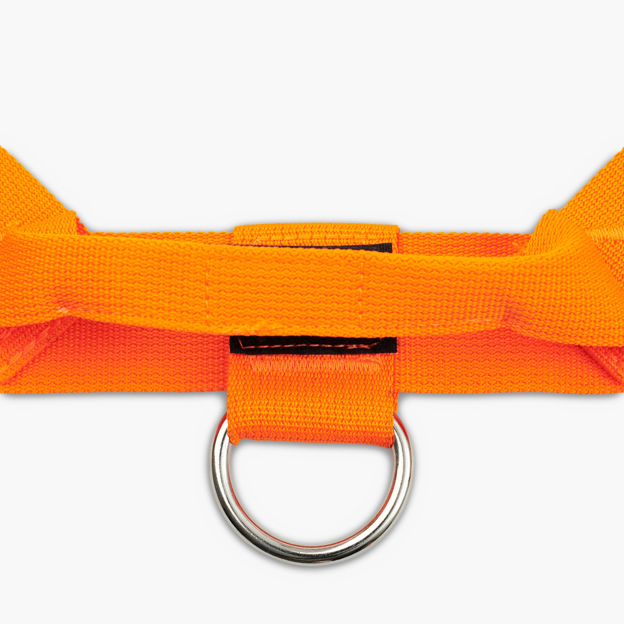 Dog Friendly Co. High Visibility Orange Dog Harness - Reflective & Adjustable for Safety - Perfect for Night Walks, Hiking & Outdoor Adventures