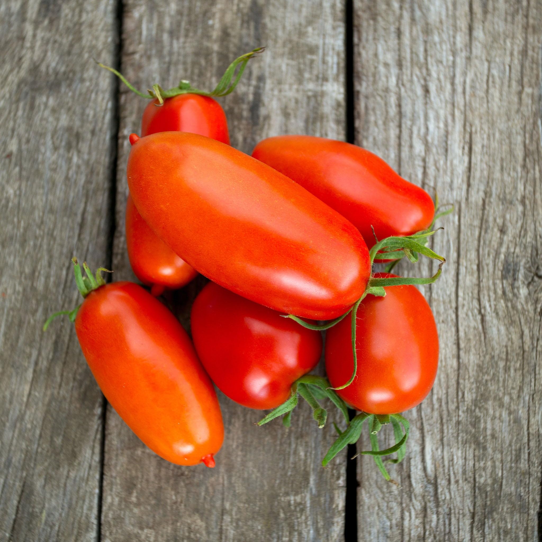 Eden Brothers Roma Tomato Seeds - Non-GMO, Heirloom Variety for Home Garden Planting - Perfect for Fresh Salads, Sauces, and Canning