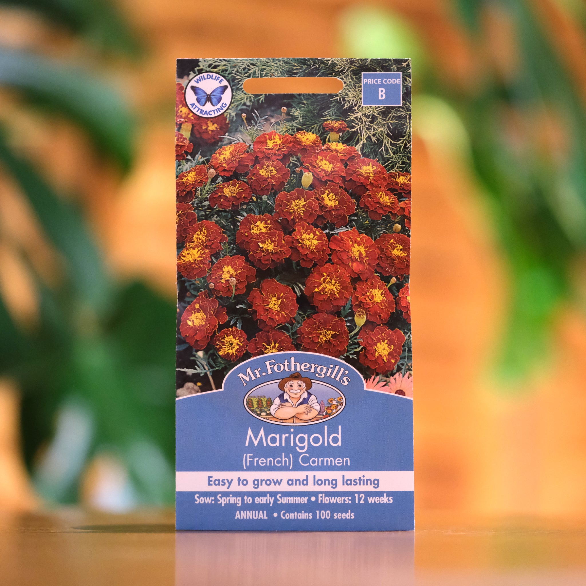 Premium French Marigold 'Carmen' Flower Seeds - Vibrant Orange Blooms for Garden Beds, Borders & Container Planting | Non-GMO, Easy to Grow