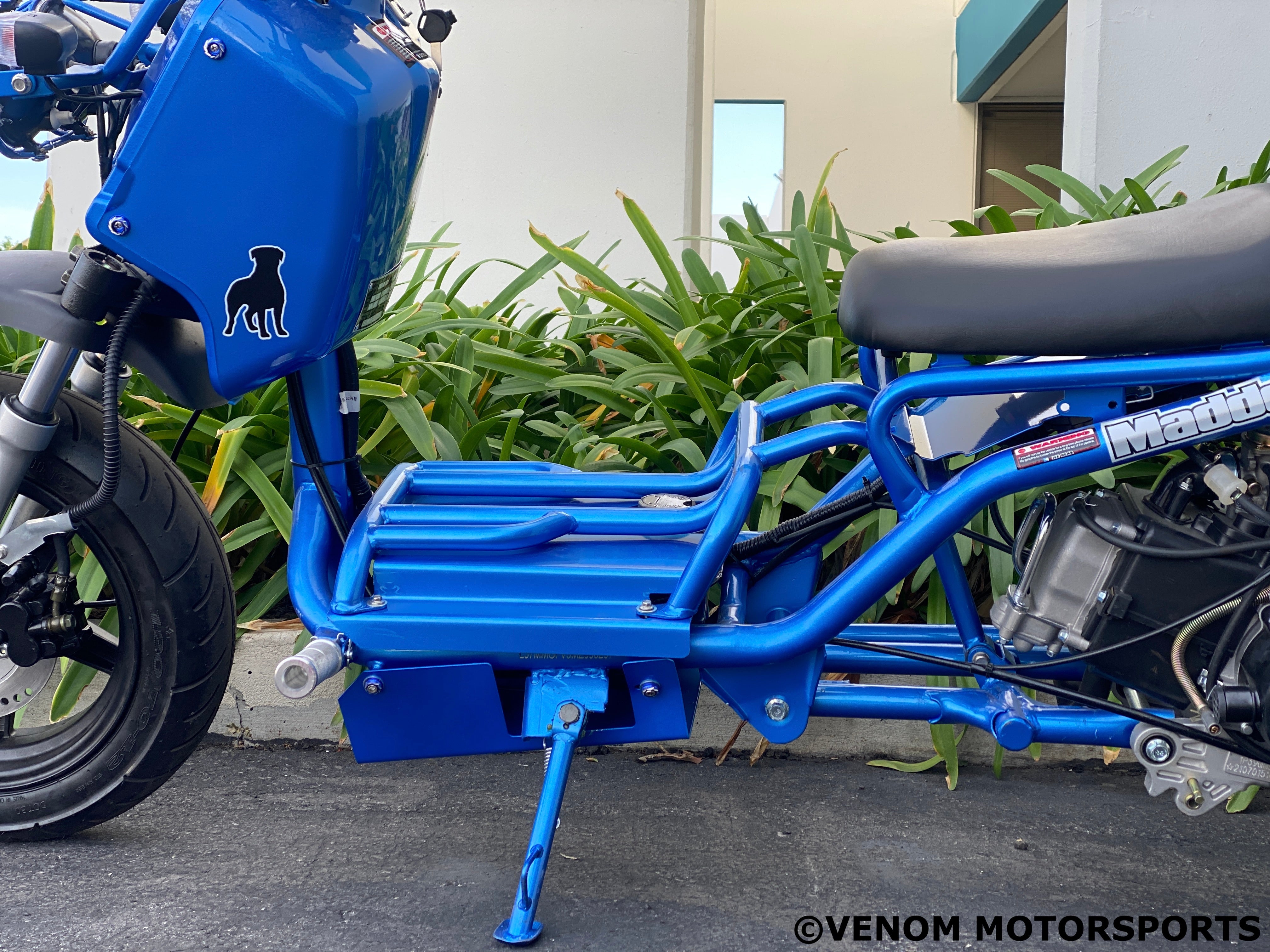 50cc Maddog Scooter - 1st Generation Automatic Transmission Moped for Adults | Commuting, Campus Riding & Urban Transportation
