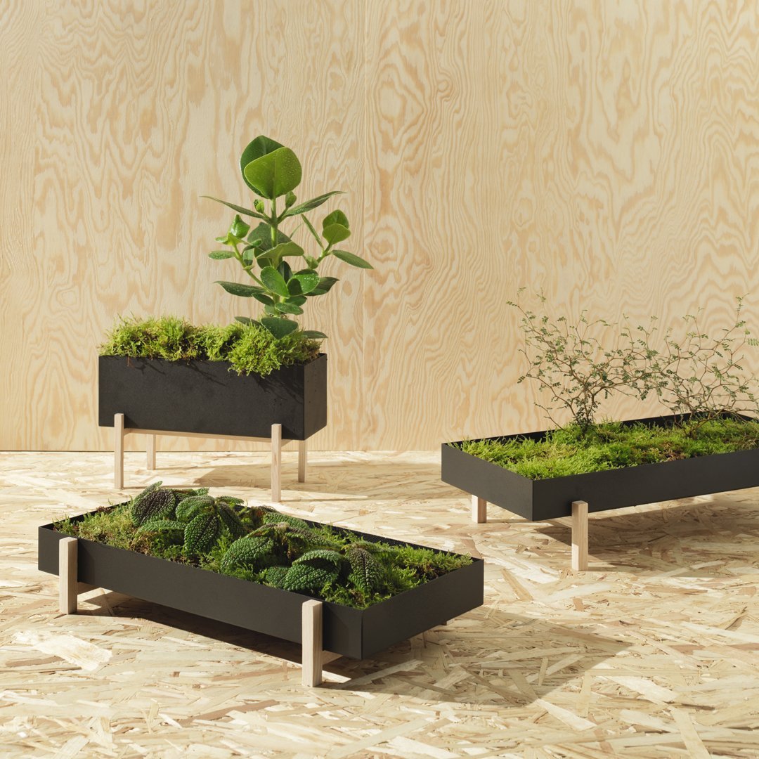 Atelier Botanic Box - Premium Home Decor & Gift Boxes | Scandinavian Design from Stockholm | Perfect for Housewarming, Weddings & Special Occasions