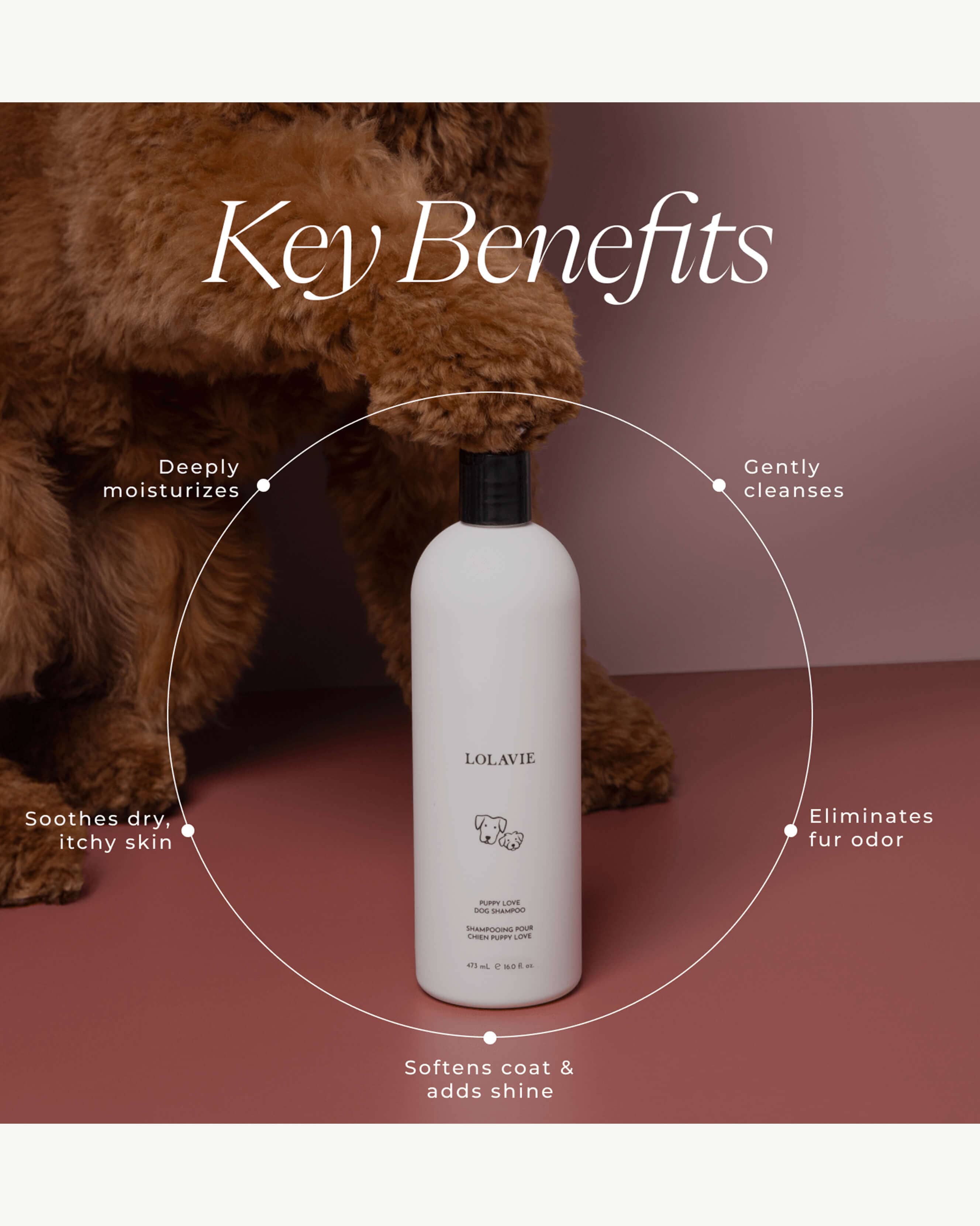 Puppy Love Dog Shampoo - Gentle Puppy Shampoo for Sensitive Skin | Hypoallergenic & Tear-Free Formula | Perfect for Bath Time & Grooming