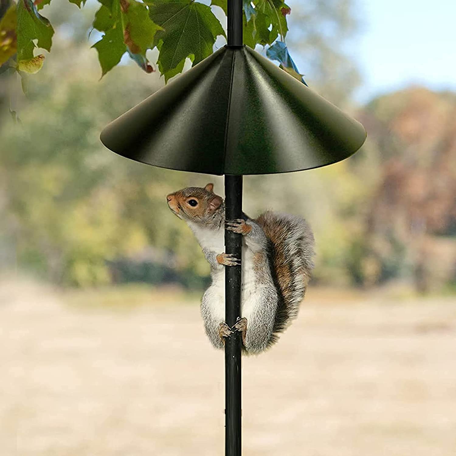 14 Inch 2-Pack Squirrel Proof Baffle - Wide Squirrel Guard for Bird Feeders | Durable Rust-Proof Wrap Around Protector for Hanging Bird Feeders & Poles | Easy Installation | Perfect for Backyard, Garden & Outdoor Bird Watching