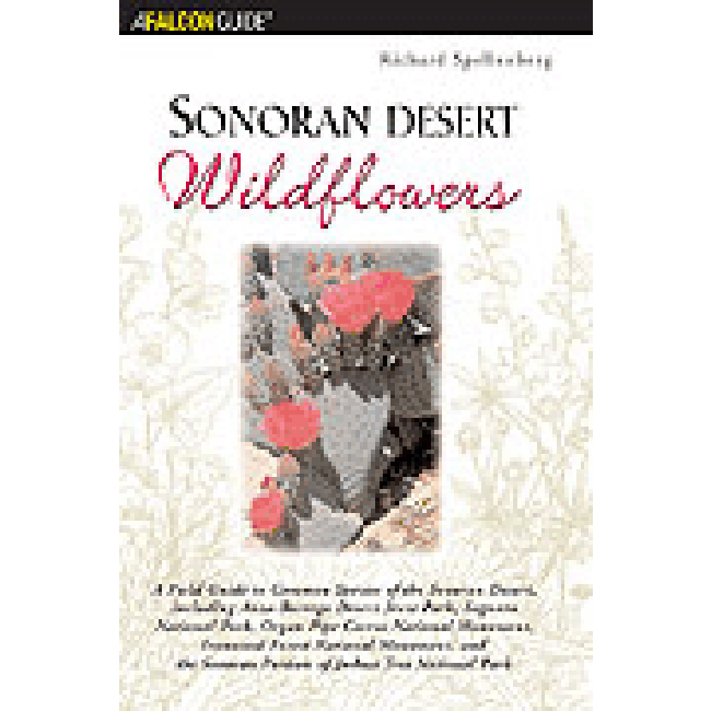Sonoran Desert Wildflowers Seeds - Native Arizona Flower Mix for Drought-Tolerant Landscaping & Xeriscape Gardens | Perfect for Home Gardens, Pollinator-Friendly Yards & Desert Restoration Projects