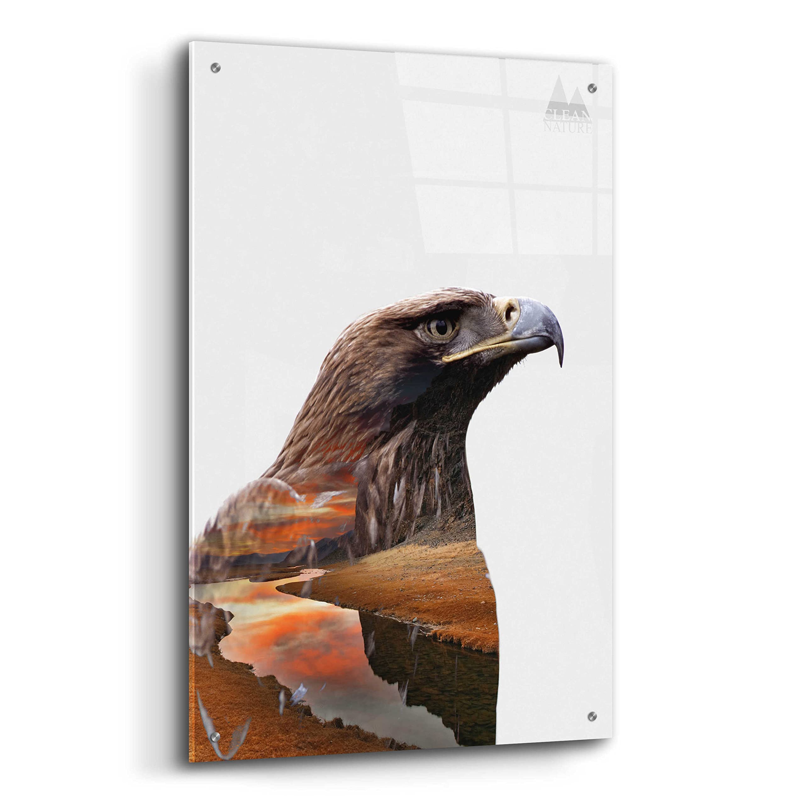 Epic Eagle Acrylic Glass Wall Art by Clean Nature - 24x36 Inches, Modern Home Decor for Living Room, Bedroom & Office - Durable & Vibrant Print