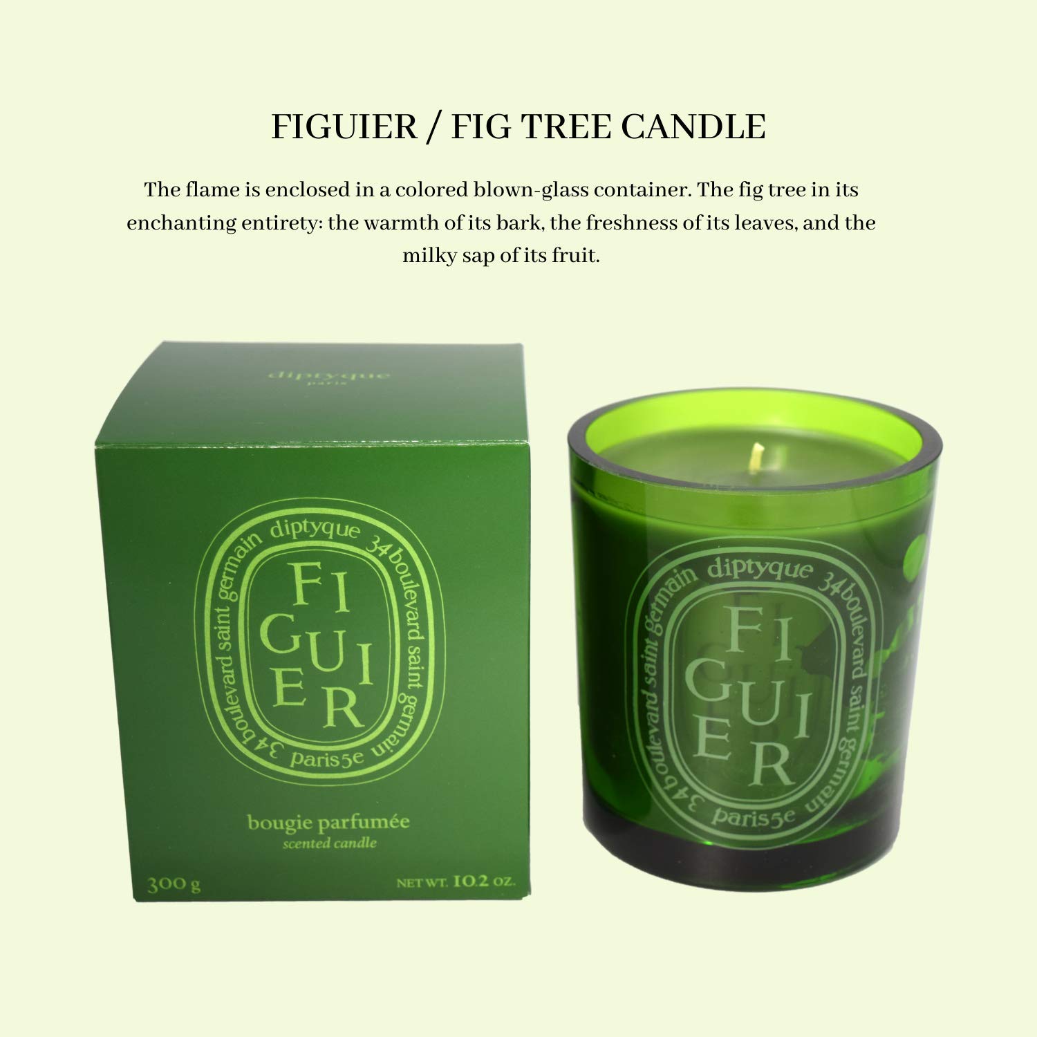 Diptyque Green Figuier Scented Candle - 10.2 oz Luxury Home Fragrance for Relaxation & Aromatherapy | Perfect for Living Room, Bedroom & Spa Decor