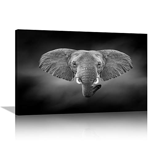 Animal wall art 30