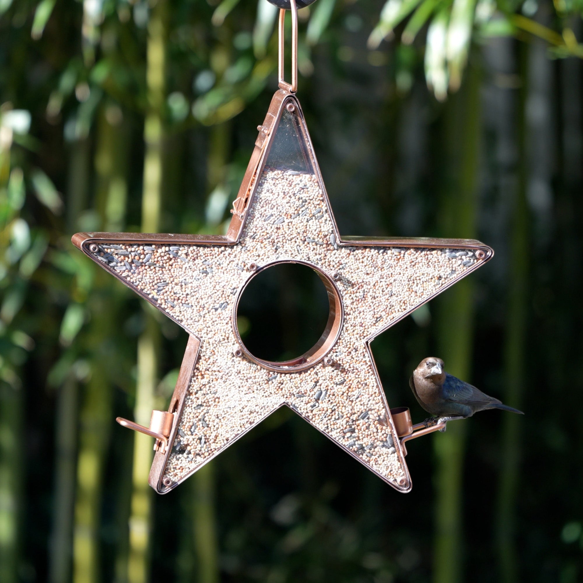 Star Fly Thru™ Bird Feeder - Squirrel Proof Hanging Bird Feeder with Large Capacity for Outdoor Garden, Backyard & Patio - Attract Cardinals, Finches & Wild Birds (Perfect for Bird Watching & Nature Lovers)