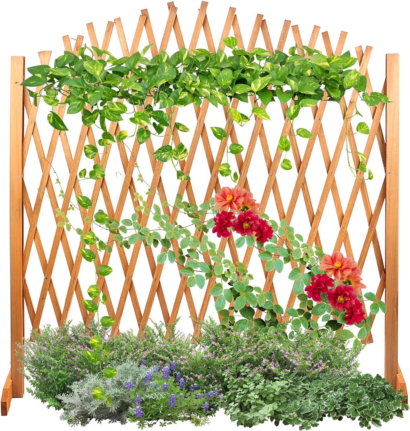 Expandable Wooden Lattice Fence - Willow Garden Trellis for Climbing Plants, Outdoor Décor & Yard Screening | Lightweight Decorative Screen for Vines, Flowers & Home Gardens | Perfect for Backyard, Patio & Landscape Design