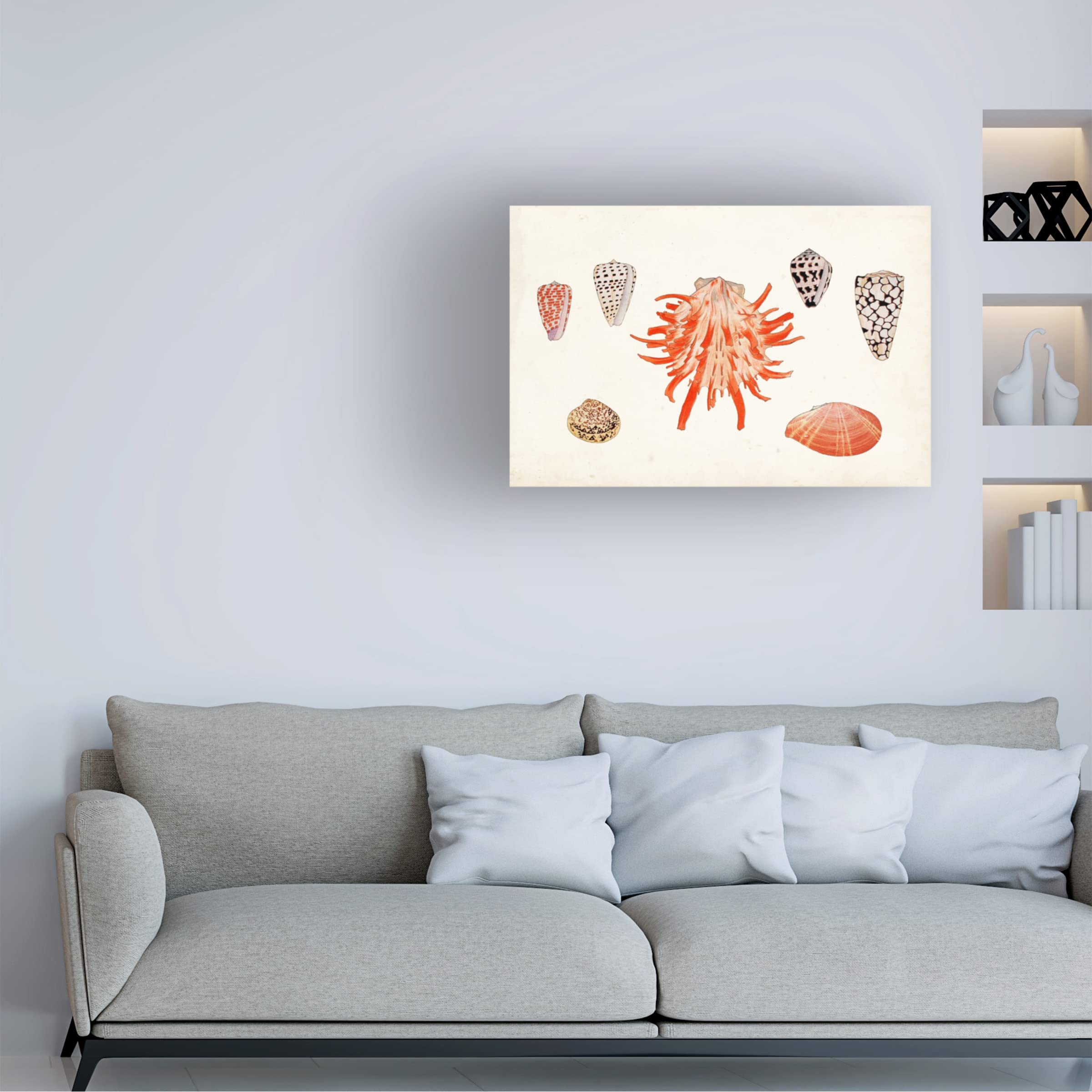 Trademark Fine Art 'Antique Shell Anthology IV' Canvas Wall Art Print by Vision Studio - Perfect for Beach House Decor, Coastal Living Room & Nautical Bathroom Design