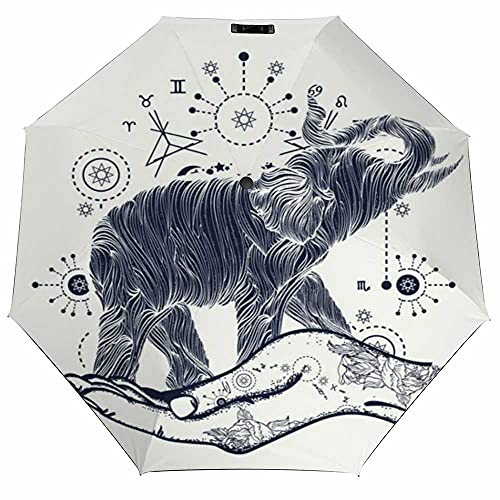 Elephant Art Style