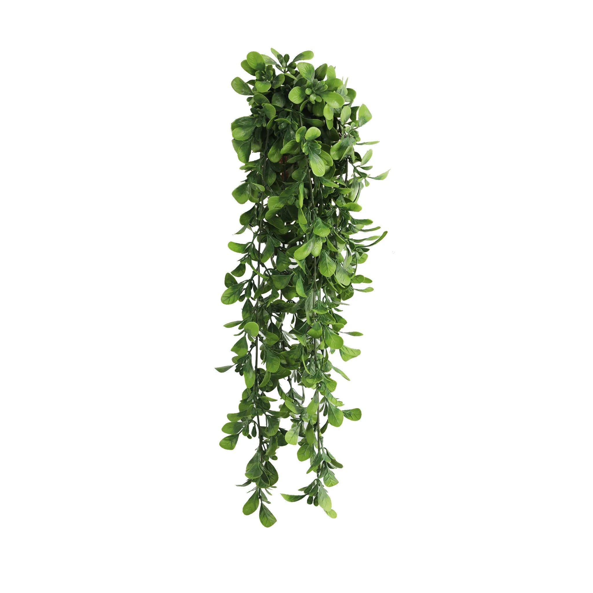 UV & Fire Rated Hanging Creeping Fig Vine - 18cm x 76cm Artificial Green Wall Decor for Indoor/Outdoor Home & Office Decoration