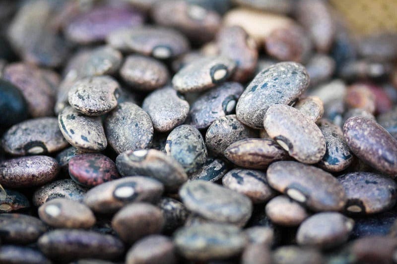 Organic Rancho Gordo Moro Beans - Heirloom Black Beans for Authentic Mexican Cooking | Perfect for Soups, Stews & Rice Dishes