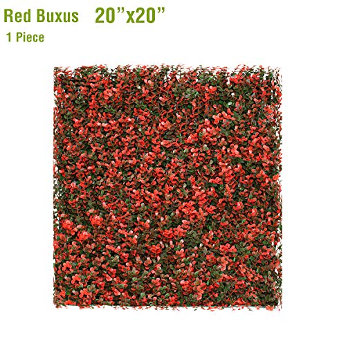 Red Buxus