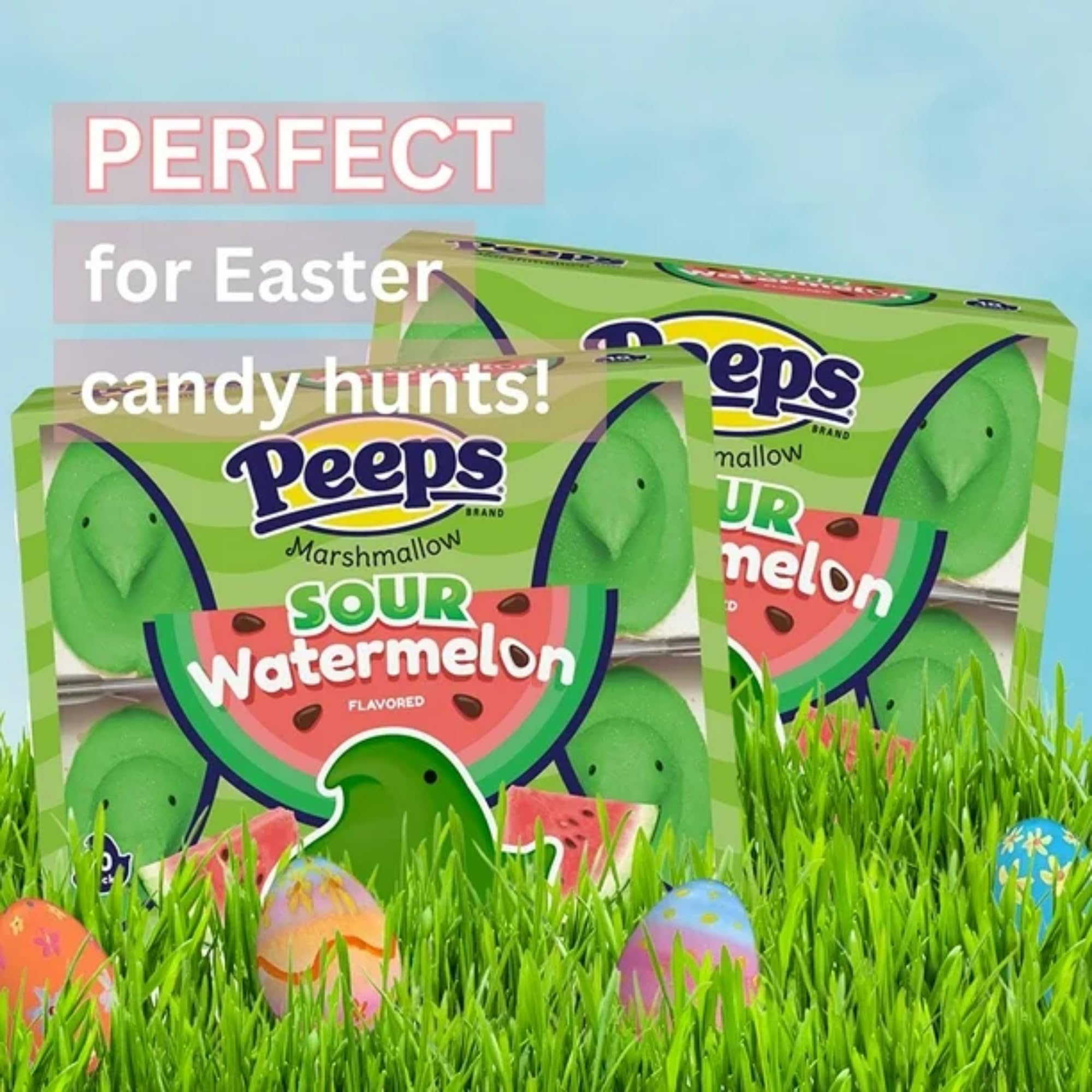 Needzo Easter Marshmallow Candy Variety Pack - 10 Count Cotton Candy, Dr. Pepper, Fruit Punch, Party Cake & Sour Watermelon Flavors - 3oz Bags (Pack of 5) - Perfect for Easter Baskets, Party Favors & Holiday Treats