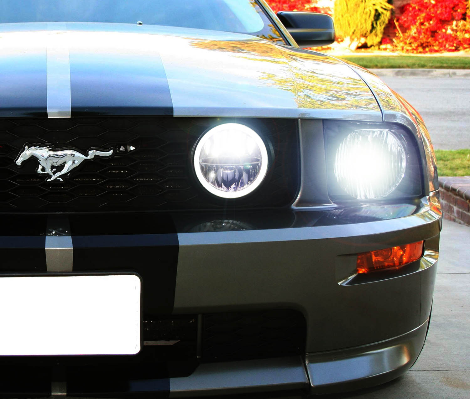 30W CREE LED Driving Fog Light Kit with LED Halo Ring for 2005-2009 Ford Mustang - Durable Off-Road Lighting for Night Driving & Foggy Conditions