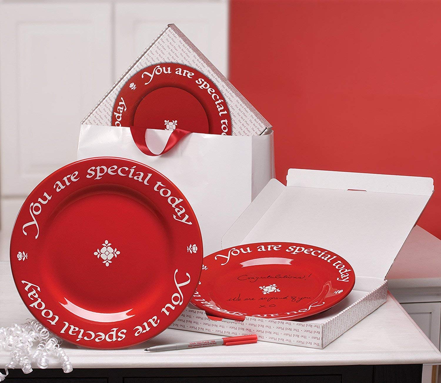 You Are Special Today Plates - Set of 3 Red Celebration Plates with Gift Box | Birthday Party, Anniversary & Special Occasion Tableware
