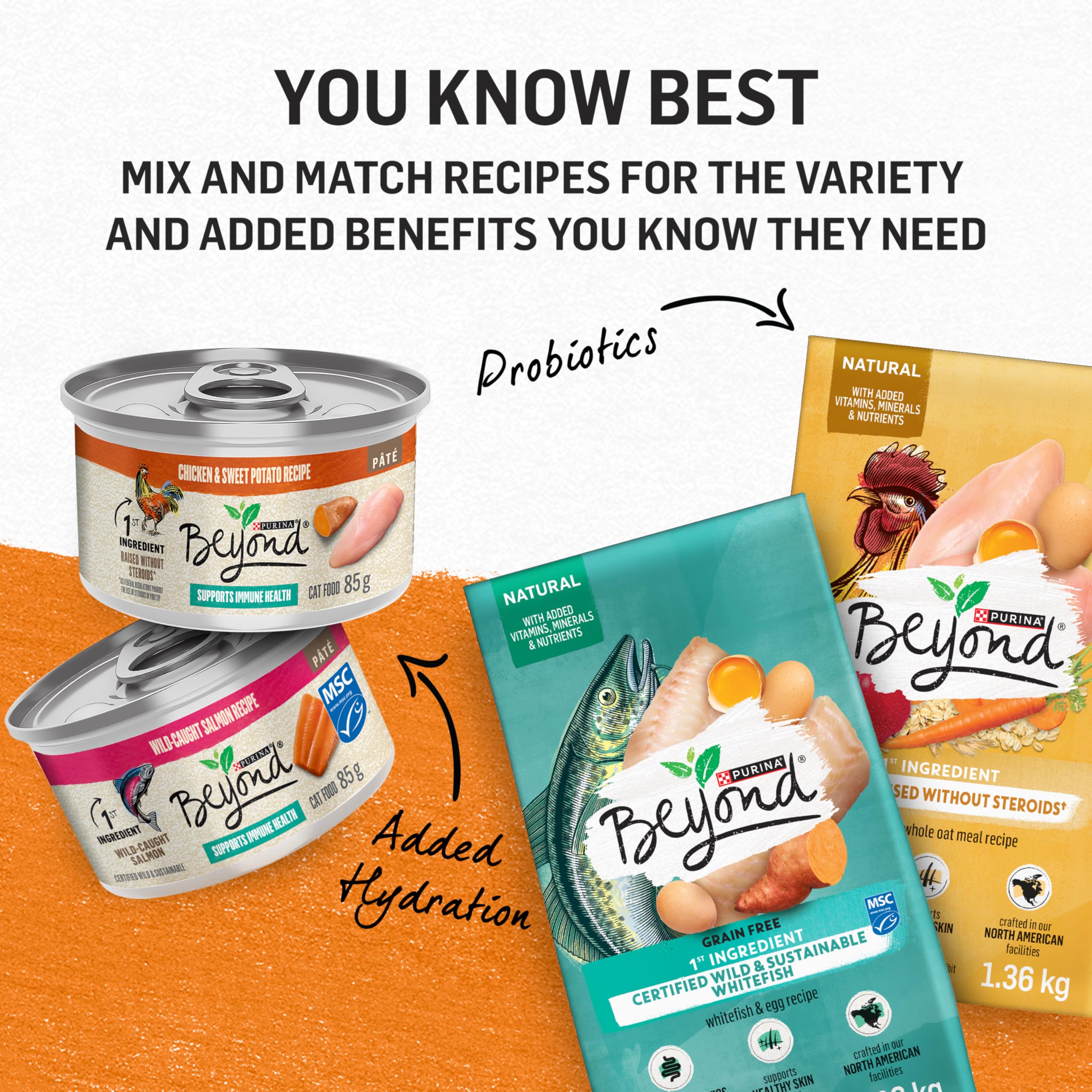 Beyond Grain Free Natural Wet Cat Food Pate Variety Pack - 3 Flavors (Chicken, Turkey, Salmon) 85g Cans (12 Pack) for Adult Cats - High Protein, Healthy Meal for Indoor & Outdoor Cats - Perfect for Picky Eaters & Sensitive Stomachs