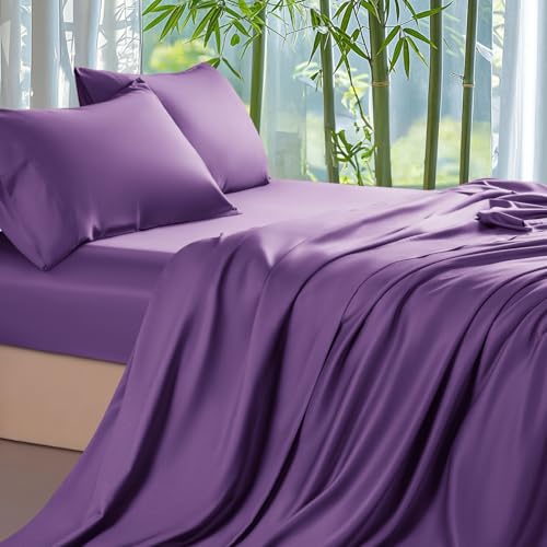 16 - Purple
