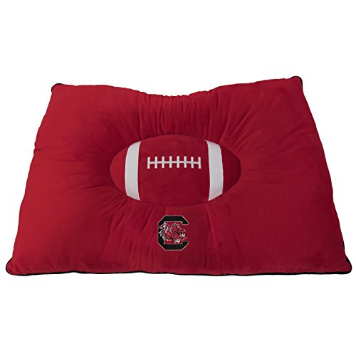South Carolina Gamecocks