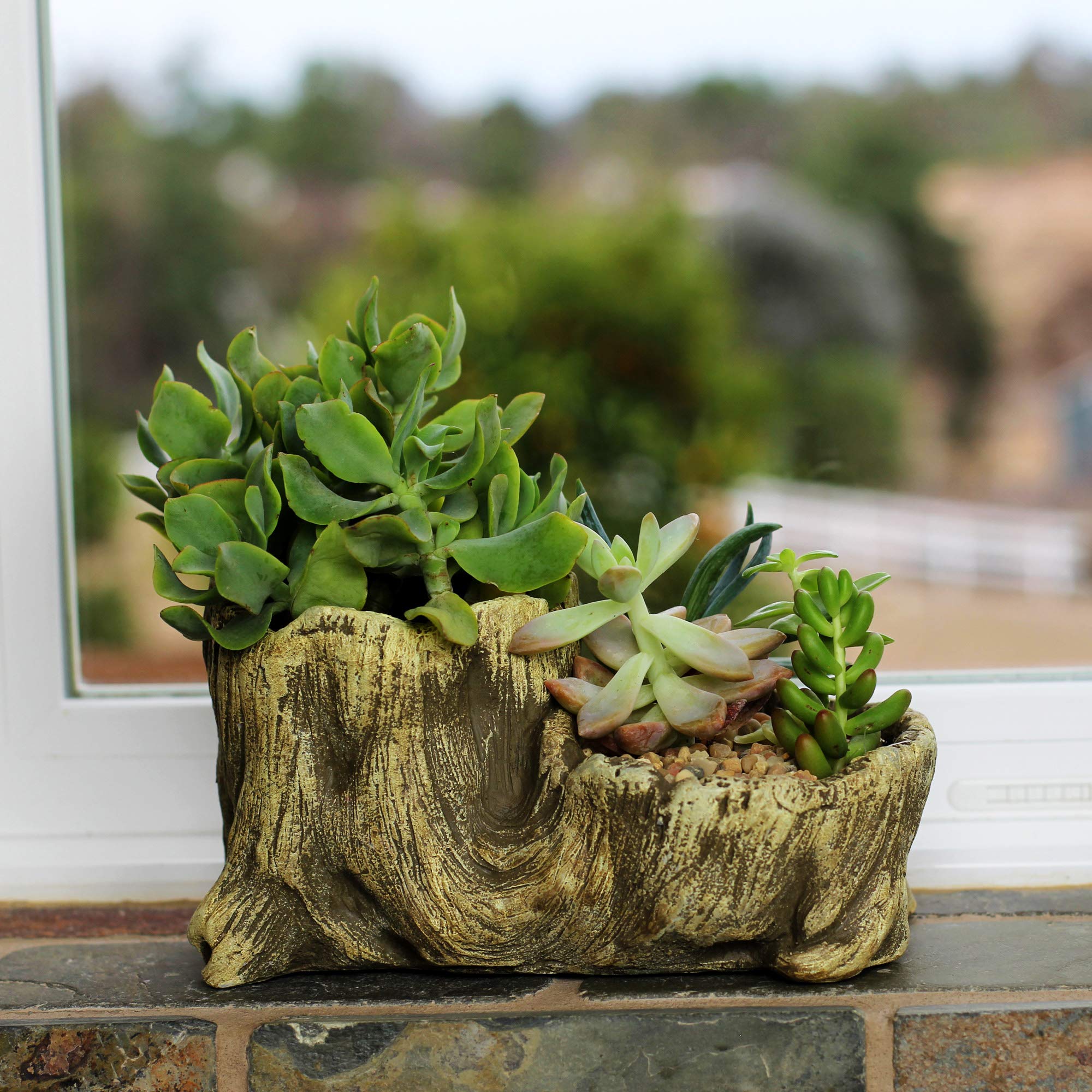 Ceramic Wood Plant Pot - Indoor Wood Planter with Unique Log Design for Succulents, Flowers & Small Plants | Perfect for Home Decor, Office Desk & Gift Giving (Driftwood Boot Style)