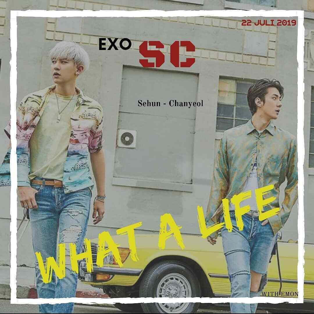 EXO-SC WHAT A LIFE Chanyeol & Sehun 1st Mini Album [SC2019_P] - CD, Photo Book, Folded Poster, Photo Card & EXO Gift - K-Pop Collectors Edition (Perfect for Fans, Gifts & K-Pop Collections)