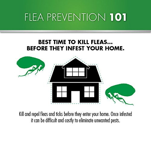 Advecta II Flea Treatment for Cats Over 9 lbs - 4 Month Supply | Fast-Acting Flea Prevention & Control for Indoor & Outdoor Cats