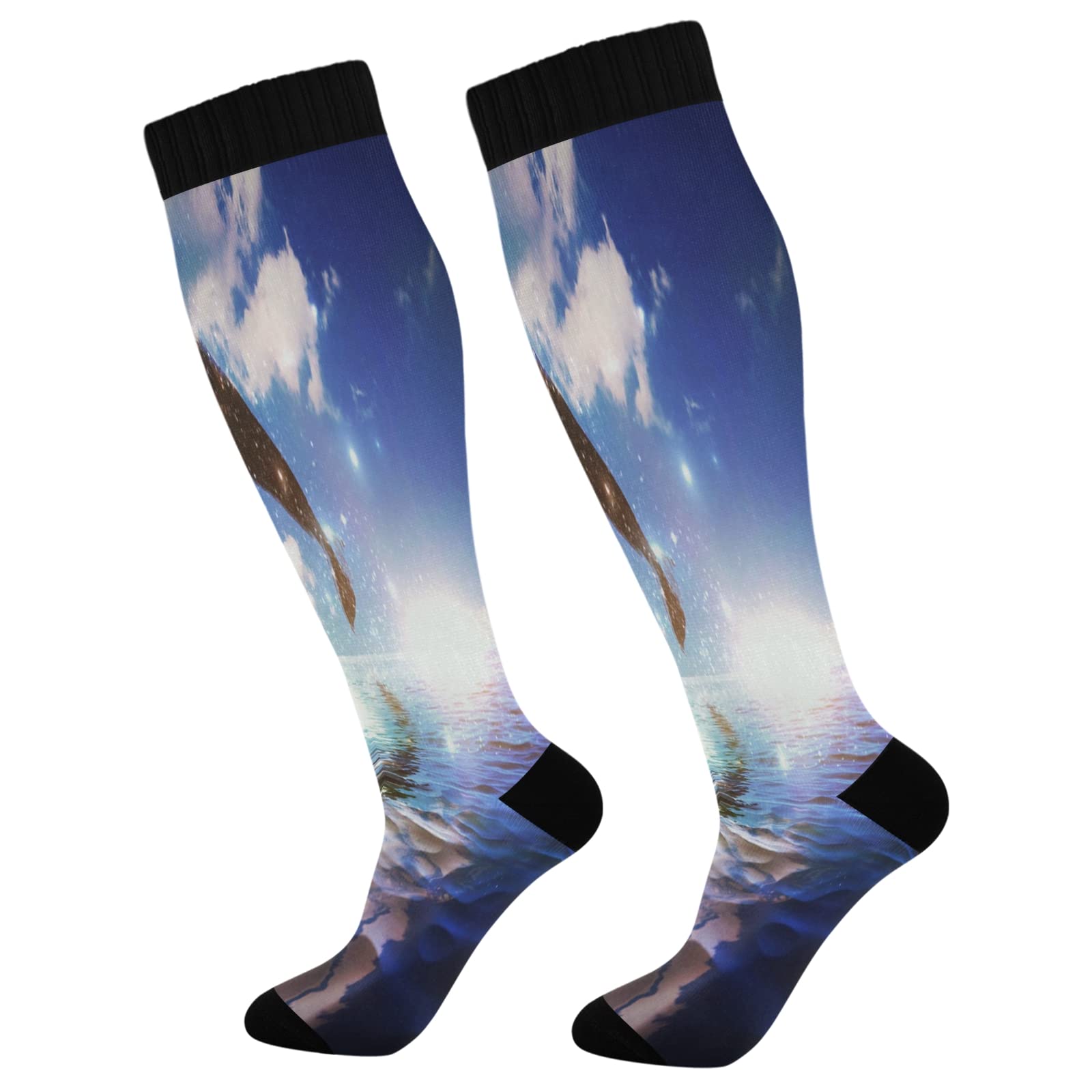 Best Compression Socks for Women & Men - Knee High Athletic Support Socks for Running, Hiking, Fitness - Leaping Whale Brand - Perfect for Workouts, Travel & Circulation Support