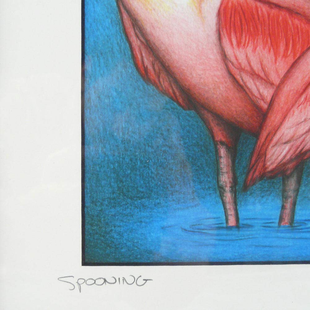 Pink Spoonbill Birds Framed Fine Art Print - 16x19 Inch American Made Wall Decor for Living Room & Bedroom