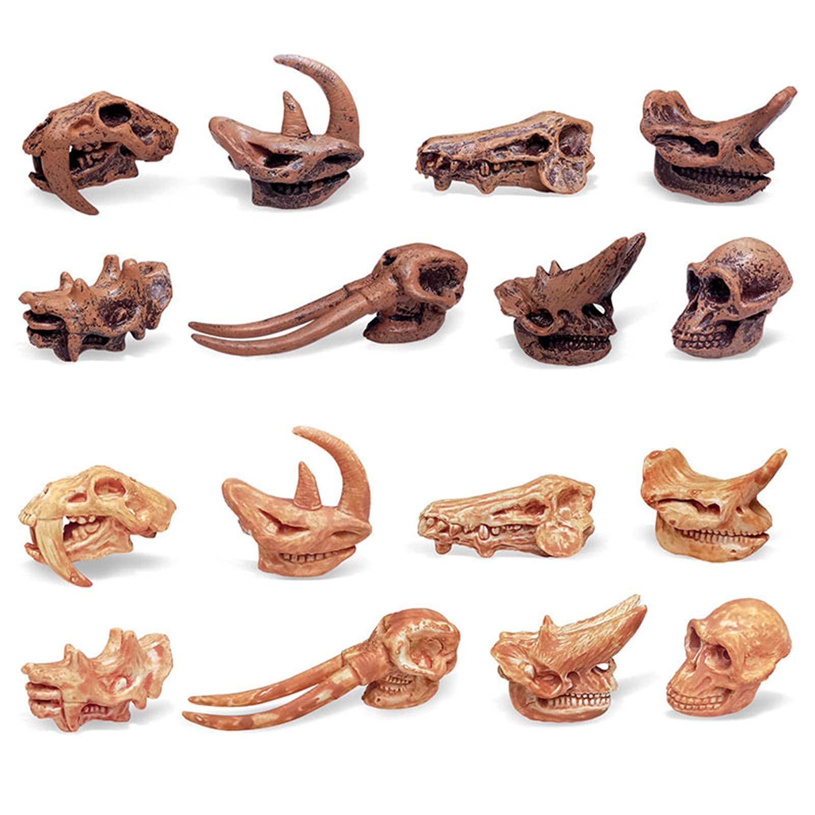 Dinosaur Skull Model Toy - Ancient Animal Skeleton Educational STEM Toy for Kids, Boys & Girls - Perfect for Science Learning, Classroom Decor & Fossil Collection