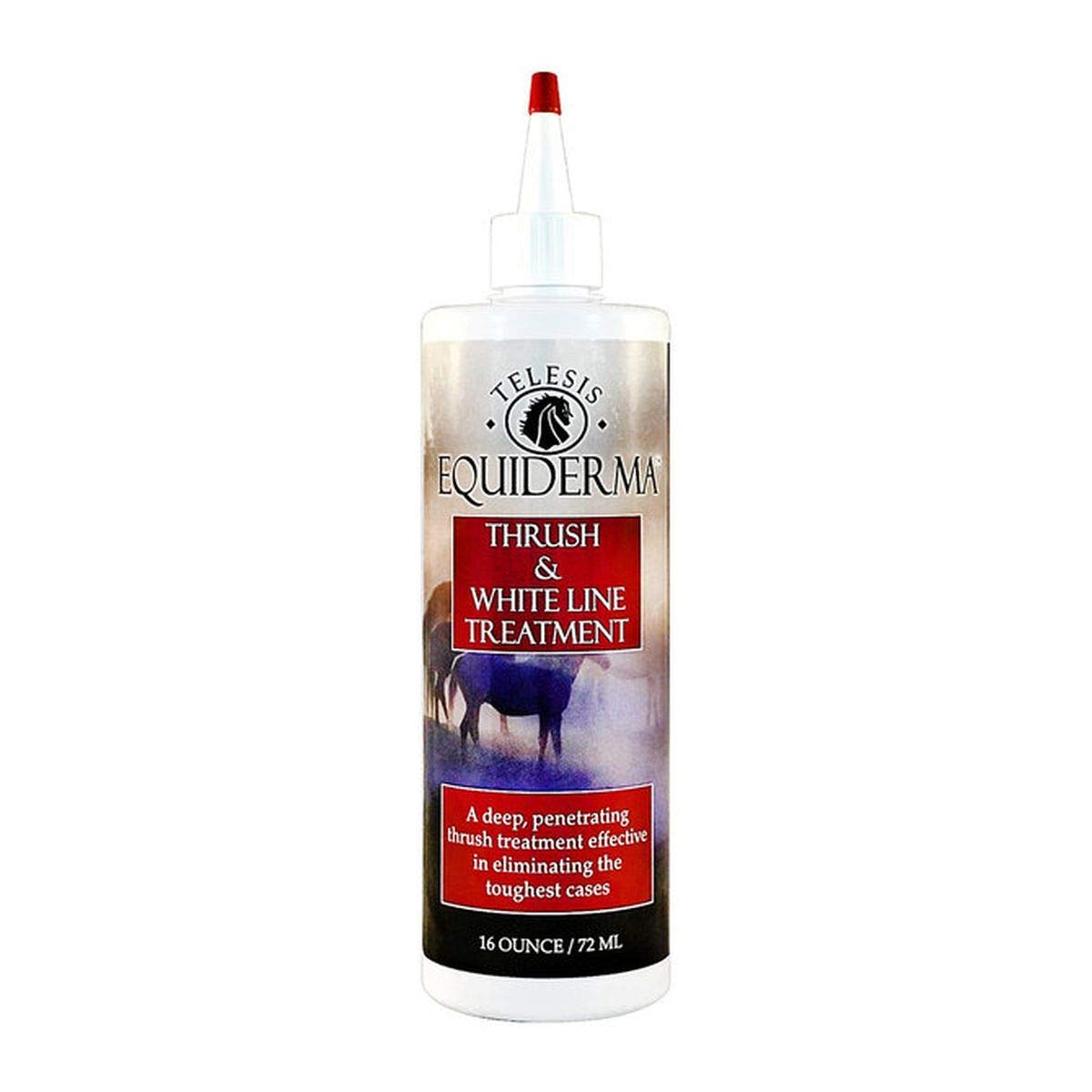 EQUIDERMA Thrush and White Line Treatment for Horses - 16 oz | Fast-Acting Hoof Care Solution for Fungal Infections | Ideal for Stable, Trail, and Show Horses