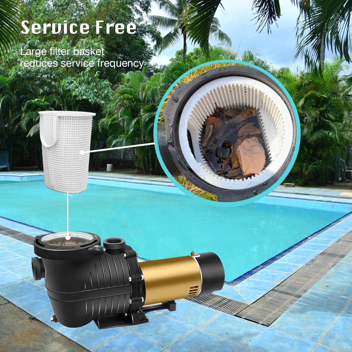 PureBy 2.0HP Energy Efficient Dual Speed Pool Pump - Inground & Above Ground Swimming Pool Circulation System with 1.25'' & 1.5'' NPT Unions (115V Self-Priming) - Perfect for Backyard Pool Maintenance & Water Filtration