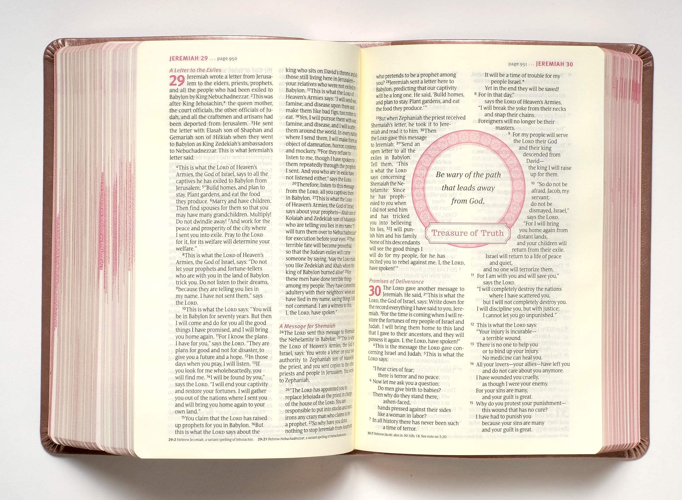 Personalized NLT THRIVE Devotional Bible for Women - Soft Leather-Look Cover with Rose Metallic Accents - Custom Name Engraved - New Living Translation - Perfect Gift for Mother's Day, Baptism & Daily Devotions