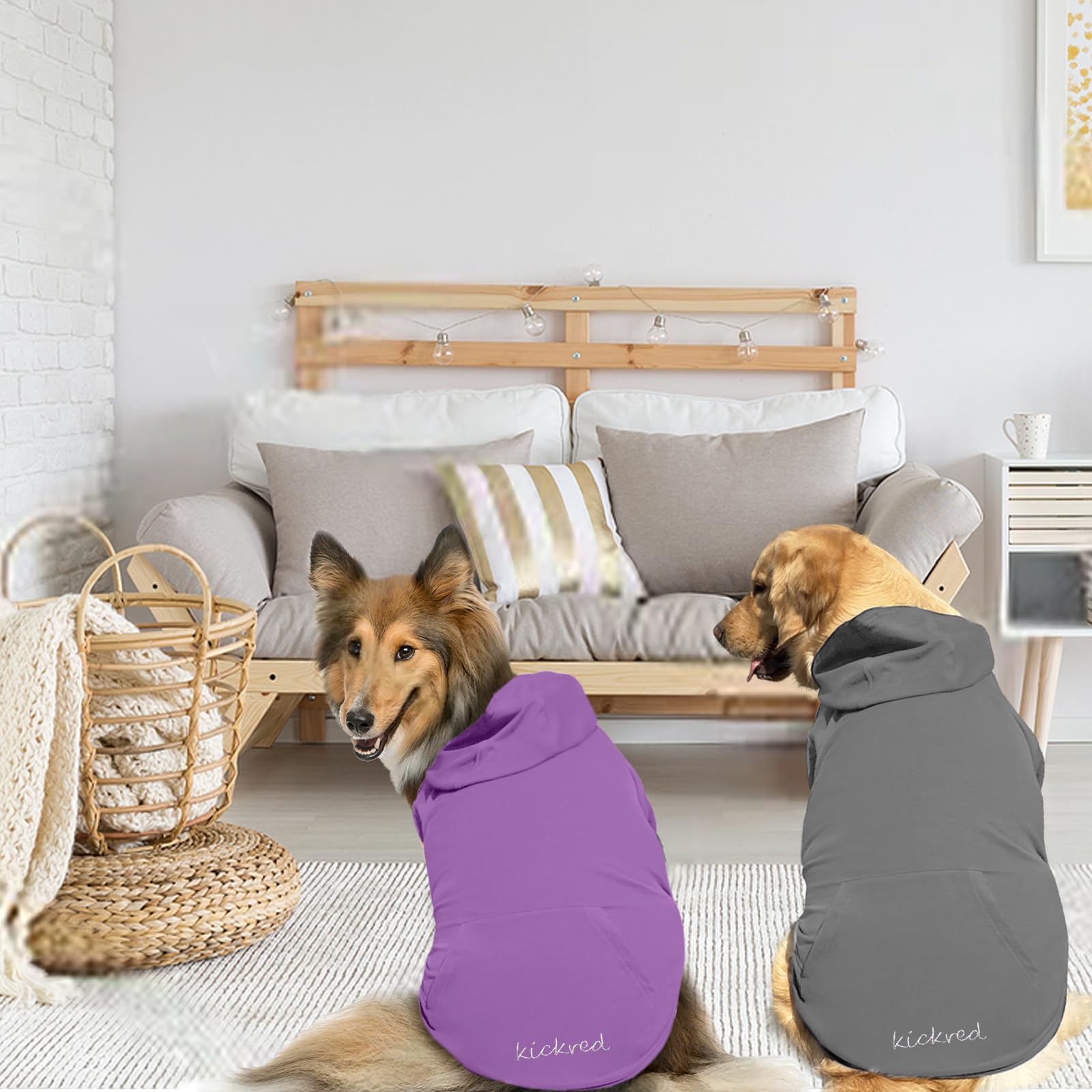 2 Pack Soft Cotton Dog Hoodie Sweater - Cozy Pet Clothes with Pocket & Leash Hole for Small Medium Large Dogs - Dark Grey & Purple Sleeved (Large) - Perfect for Winter Walks & Indoor Comfort