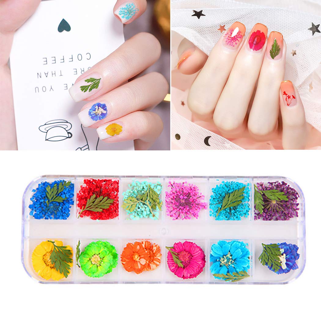 SOWUNO 1 Box Nail Art Decorations Kit - DIY Dried Flower Nail Art Supplies for Manicure, Gel Polish, Acrylic Nails - Perfect for Home Salon, Nail Parties & Professional Nail Artists