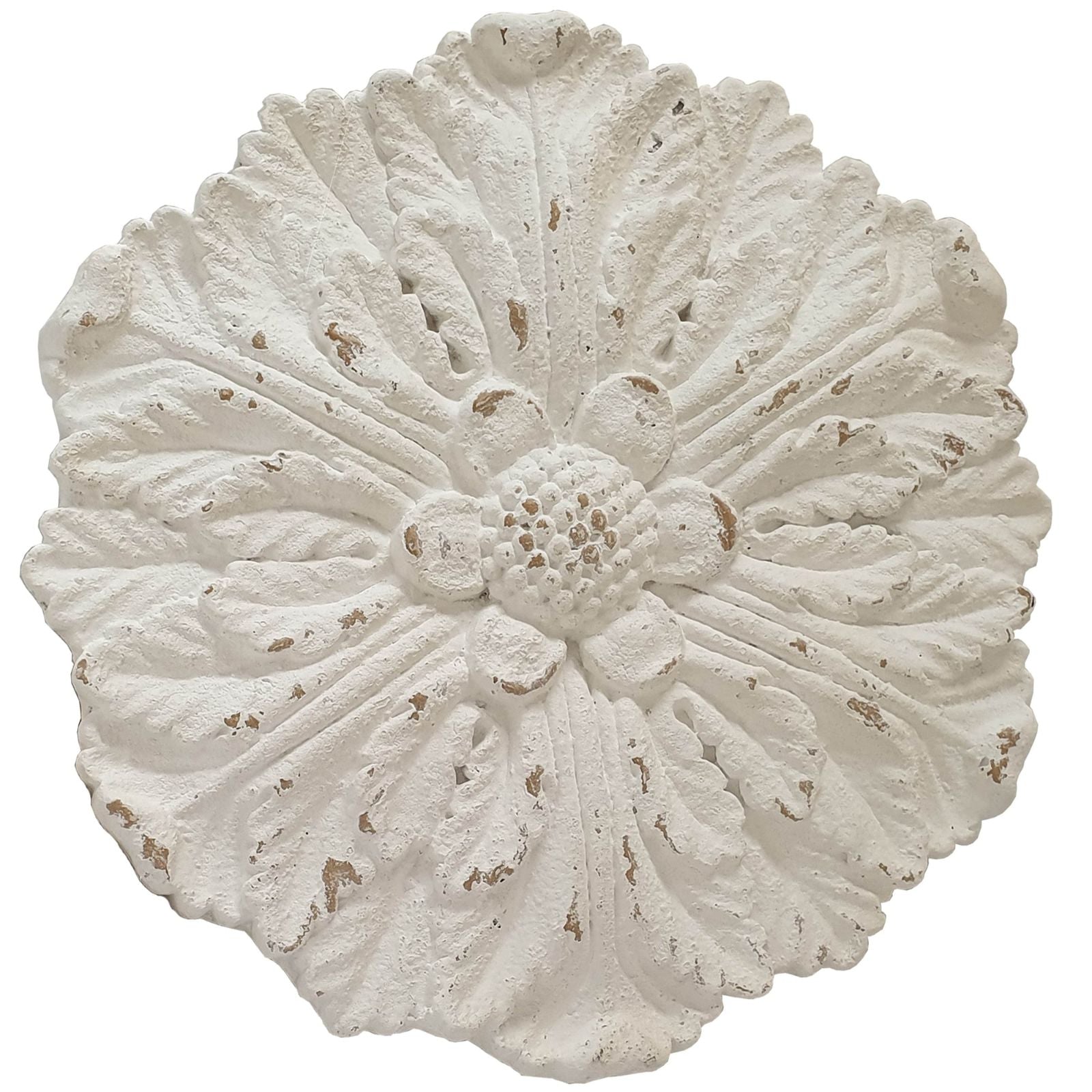 Dianthus Circle of Flowers Floral Wall Art - Elegant Botanical Home Decor for Living Room, Bedroom & Office
