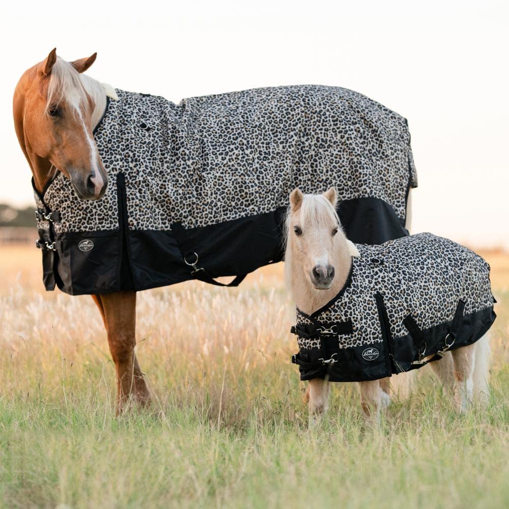 Professional's Choice Cheetah Mini Pony 600D Winter Blanket - Heavy Duty Waterproof Horse Blanket for Cold Weather - Perfect for Stable, Trail Riding & Winter Horse Care (Size 46)