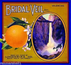 Santa Paula Bridal Veil Yosemite Orange Citrus Fruit Crate Magnet - Vintage Art Print for Refrigerator, Office & Kitchen Decor - Perfect for California Themed Gifts & Home Accessories