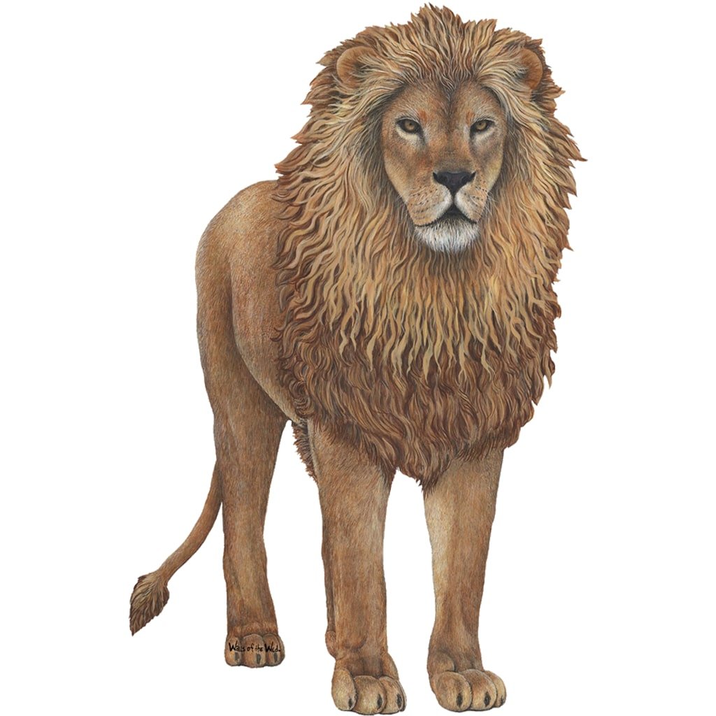 Wild Jungle Wildlife Wall Decals Collection #3 - Tropical Animal Wall Stickers for Kids Room, Nursery & Home Decor - Perfect for Jungle Theme Bedrooms & Playrooms
