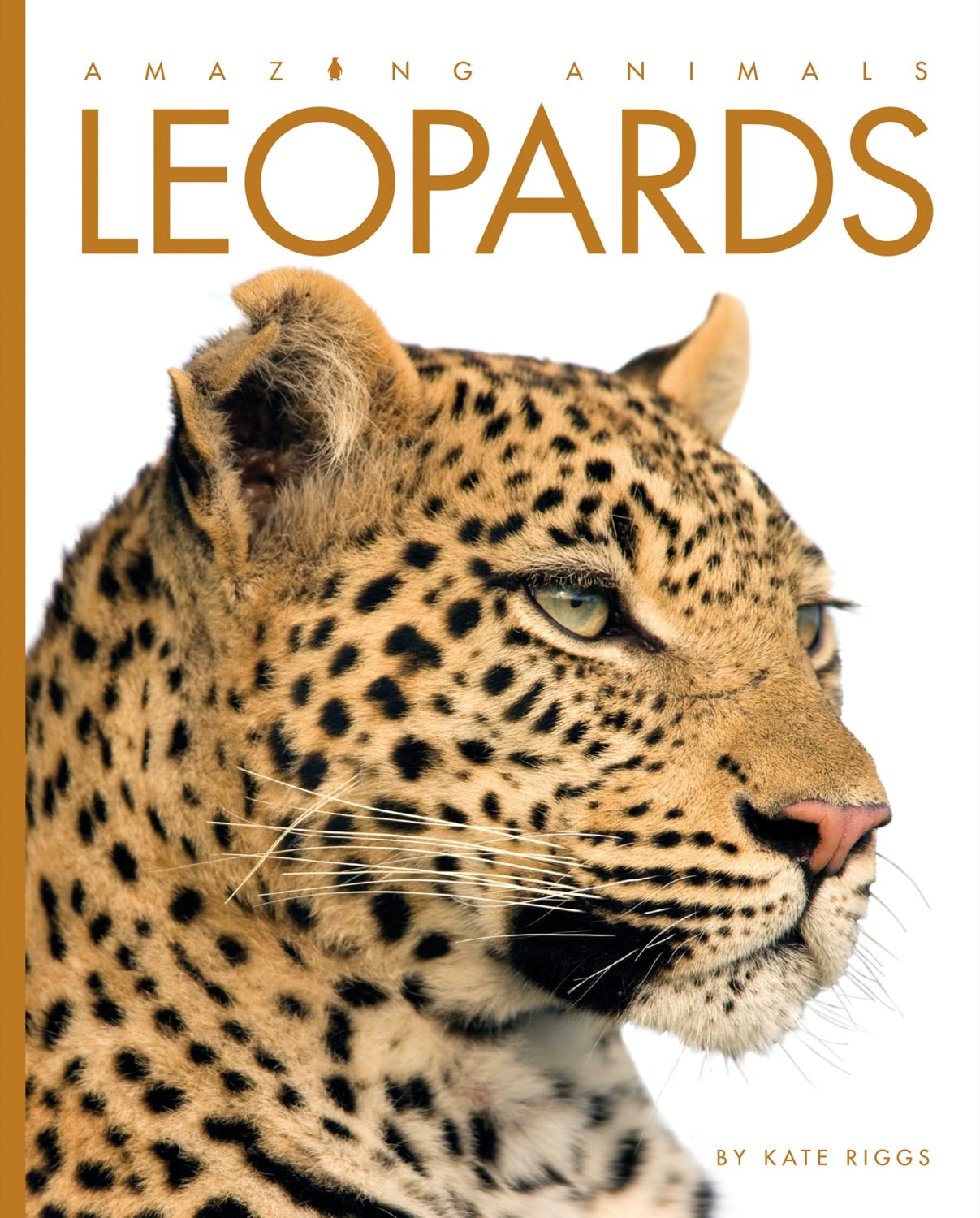 Amazing Animals (2014): Leopards - Wildlife Documentary DVD | Educational Nature Films for Kids & Adults | Perfect for Classroom Learning & Home Entertainment