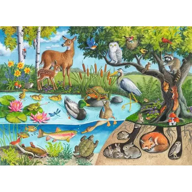 Animals Above & Below Pz60 - Stunning Wildlife Photography Book for Nature Lovers | Perfect Gift for Animal Enthusiasts & Home Decor